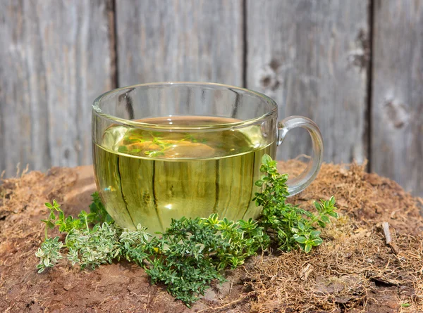 Tea vagy infúzió, kakukkfű — Stock Fotó