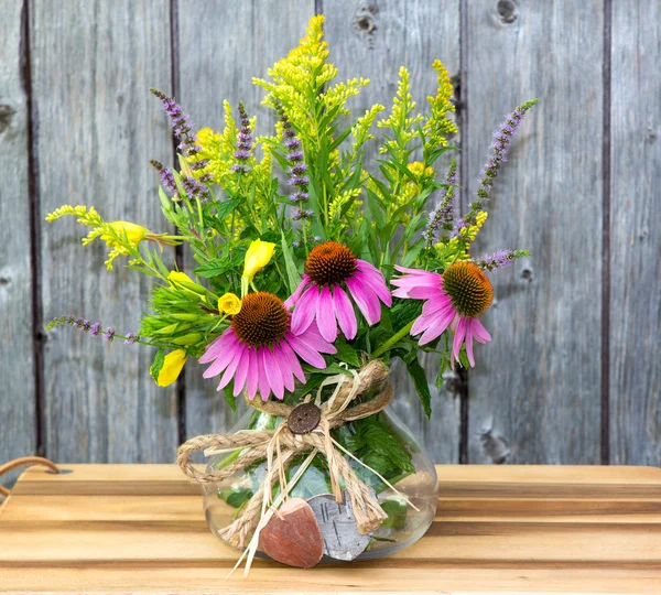 Echinacea und Solidago-Blüten. — Stockfoto