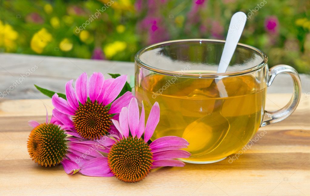 green tea with echinacea