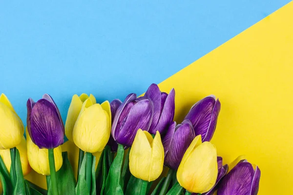 Güzel laleler sarı mavi arka planda uzanır.