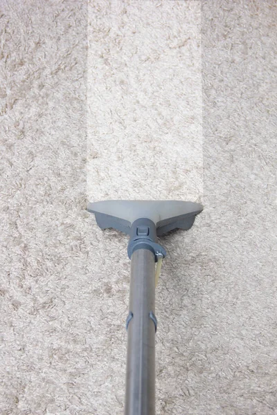 Elektrikli süpürge, halı temizliği.