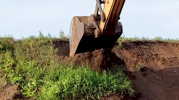 Excavator digs the ground with a bucket — Stock Video