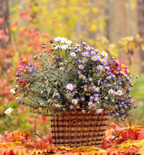 Panier avec fleurs — Photo