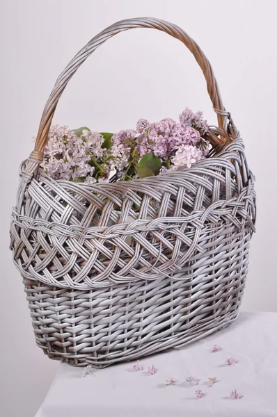 Basket with flowers — Stock Photo, Image