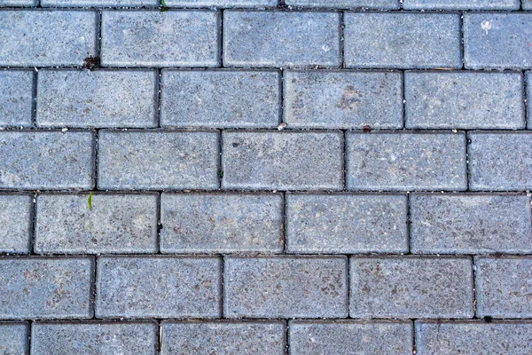 Gray paving slabs brick on the road — Stock Photo, Image