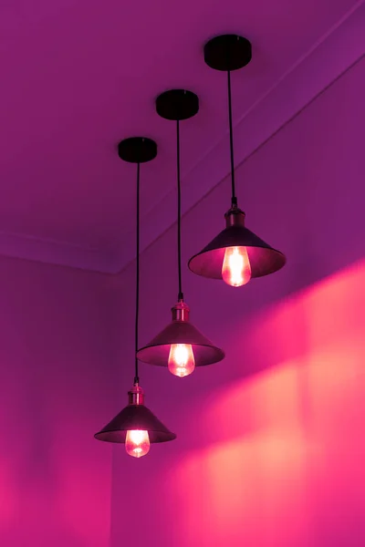 Trzy lampy ze starymi żarówkami w różowym świetle — Zdjęcie stockowe