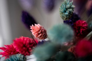 Çimen makrodan boyalı bıçaklar, geniş bir alana yayılmış..