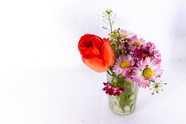 Lale ve pembe çiçekler beyaz arka planda cam bir fincanda.