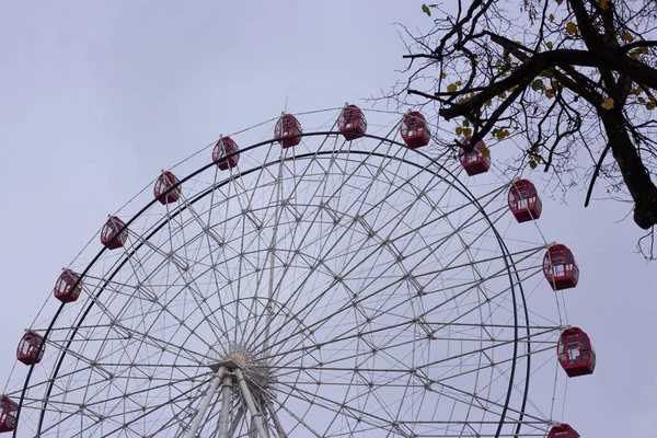 Ferris roue dans un parc d'attractions — Photo