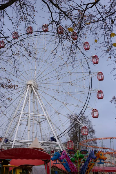 Roda gigante em um parque de diversões — Fotografia de Stock