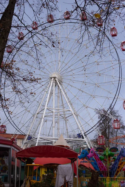 Roda gigante em um parque de diversões — Fotografia de Stock