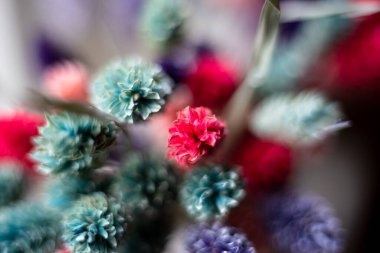 Çimen makrodan boyalı bıçaklar, geniş bir alana yayılmış..