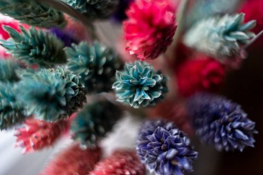 Çimen makrodan boyalı bıçaklar, geniş bir alana yayılmış..