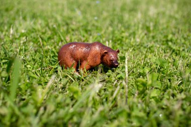 Yeşil çimenlikteki plastik bir oyuncak ayı..