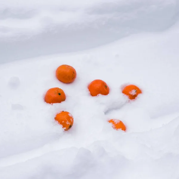 Tangerinas laranja na neve branca. Frutos tropicais.. — Fotografia de Stock