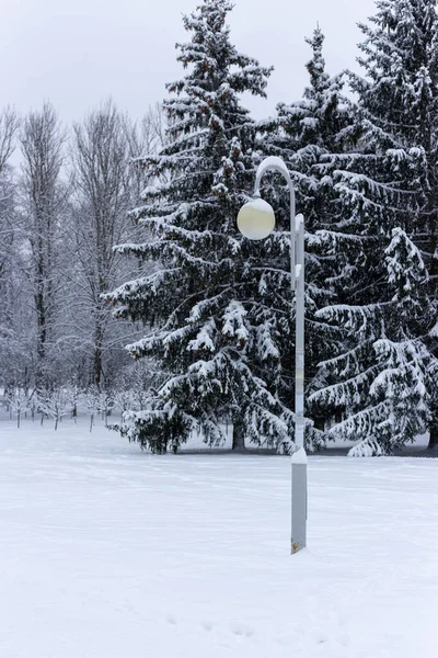 Straatlamp in een besneeuwd park. Bevroren. — Stockfoto