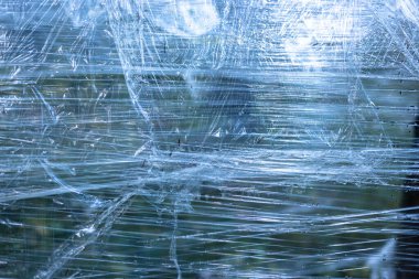 Ormandaki ağaçlara plastik sarılmış.