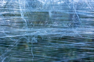 Ormandaki ağaçlara plastik sarılmış.