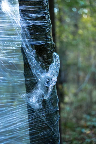 Envoltura de plástico en los árboles del bosque — Foto de Stock