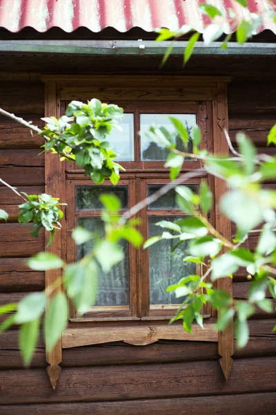 Окно с деревянной рамой в деревянном доме и веткой дерева на переднем плане — стоковое фото