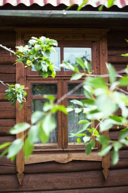 Ahşap bir evde ahşap çerçeveli pencere ve ön planda bir ağaç dalı.