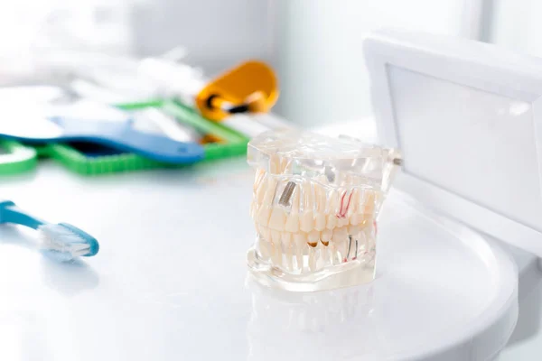 Maqueta de mandíbula y cepillo de dientes en la mesa — Foto de Stock