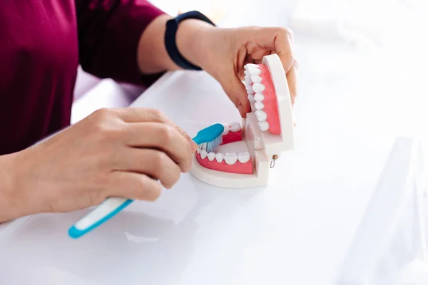 O dentista mostra no modelo da mandíbula como escovar os dentes com uma escova — Fotografia de Stock