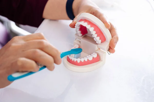 Dentysta pokazuje na modelu szczoteczki, jak myć zęby. — Zdjęcie stockowe