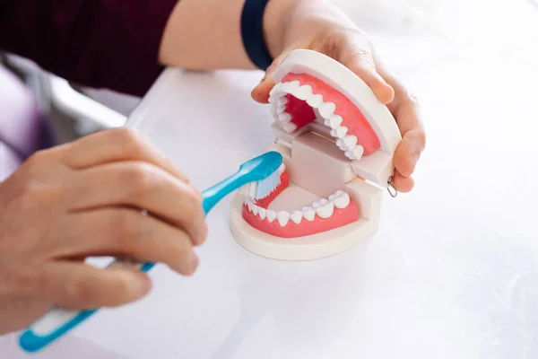 O dentista mostra no modelo da mandíbula como escovar os dentes com uma escova — Fotografia de Stock