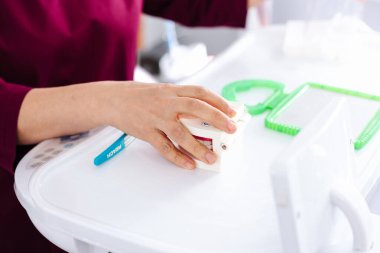 Diş hekimi çene modelinde dişlerin fırçayla nasıl fırçalandığını gösterir.