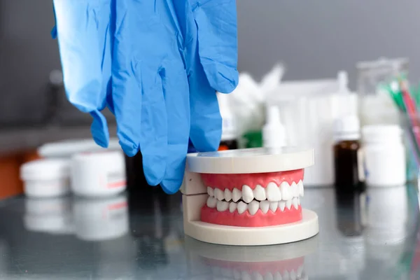 Mock up jaw with teeth on table in dental office — Stock Photo, Image
