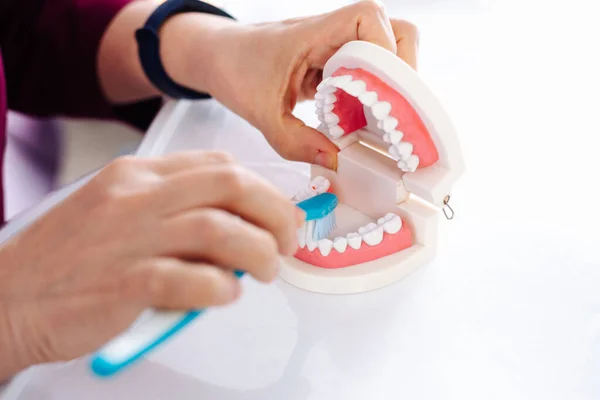 The dentist shows on the model of the jaw how to brush the teeth with a brush — Stock Photo, Image