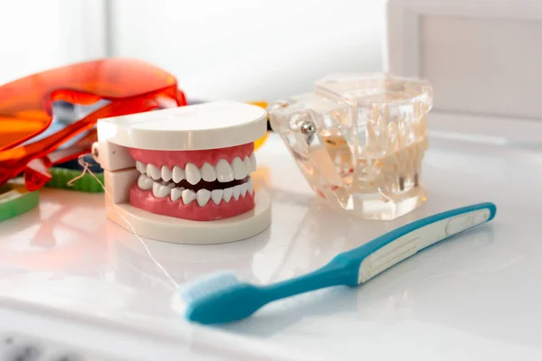 Jaw mockup and toothbrush on the table — Stock Photo, Image