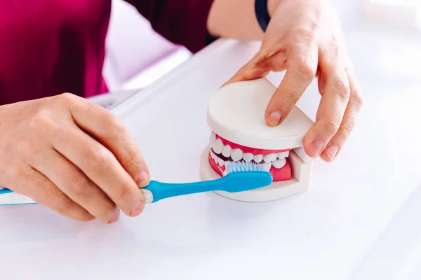 O dentista mostra no modelo da mandíbula como escovar os dentes com uma escova — Fotografia de Stock