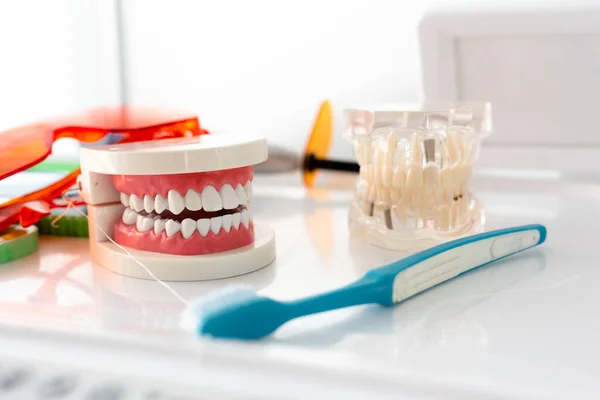 Jaw mockup and toothbrush on the table — Stock Photo, Image