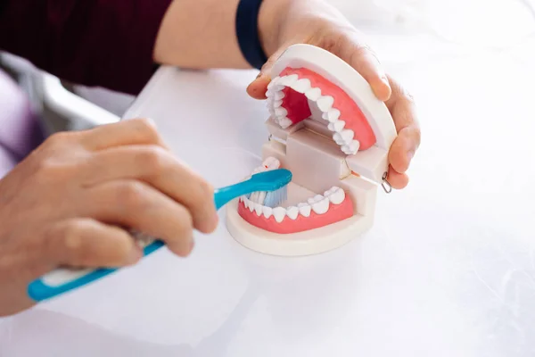 O dentista mostra no modelo da mandíbula como escovar os dentes com uma escova — Fotografia de Stock