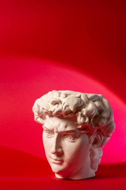 David 'in kafasının alçıtaşı heykeli. Michelangelos David heykel kopyası.