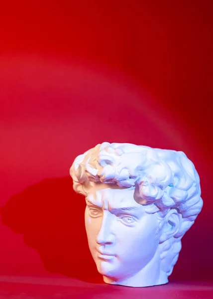 Statue en gypse de la tête de Davids. Michelangelos David statue plâtre copie. — Photo