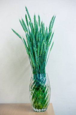 Beyaz arka planda cam vazoda buğday sapları