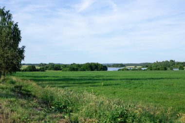 Yeşil çimenli ve mavi gökyüzüyle manzara