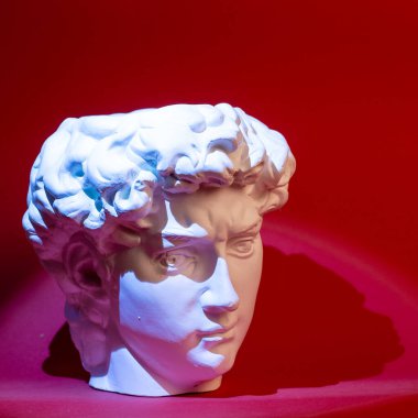 David 'in kafasının alçıtaşı heykeli. Michelangelos David heykel kopyası.