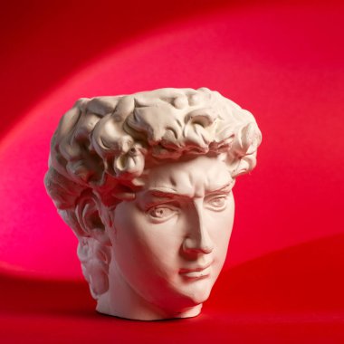 David 'in kafasının alçıtaşı heykeli. Michelangelos David heykel kopyası.