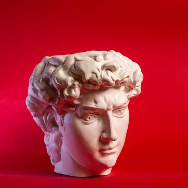 David 'in kafasının alçıtaşı heykeli. Michelangelos David heykel kopyası.