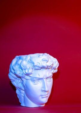 David 'in kafasının alçıtaşı heykeli. Michelangelos David heykel kopyası.