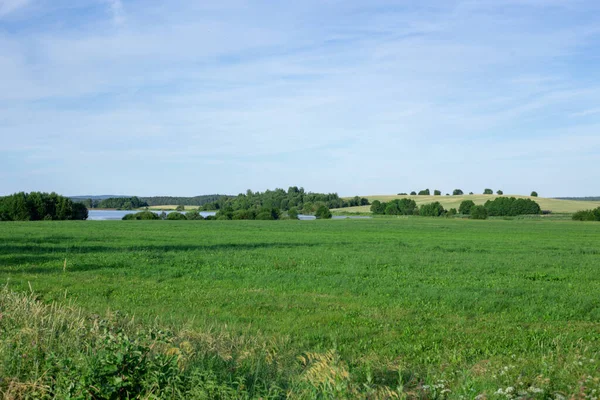 Landschap met groen gras en blauwe lucht — Stockfoto