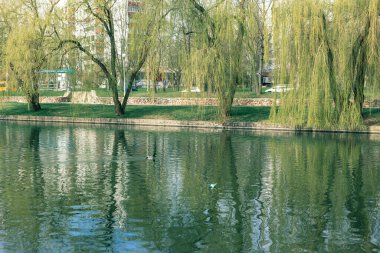 Birçok kağıt tekne suda yüzer. Origami.