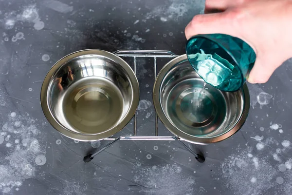 Uma mão derramando água pura de um copo em uma tigela para um gato doméstico. — Fotografia de Stock