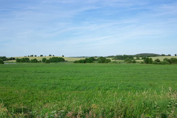 Landskap med grönt gräs och blå himmel — Stockfoto