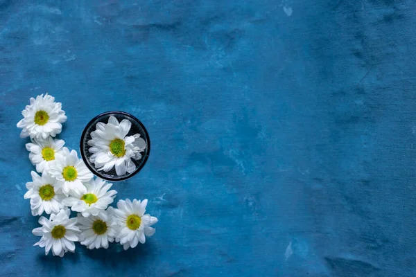 A glass with a chamomile flower inside and around on a blue background.