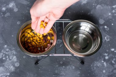 Elim, sığırlar için çelik bir kaseye kuru yiyecek döküyor. Evcil hayvanını besliyor..